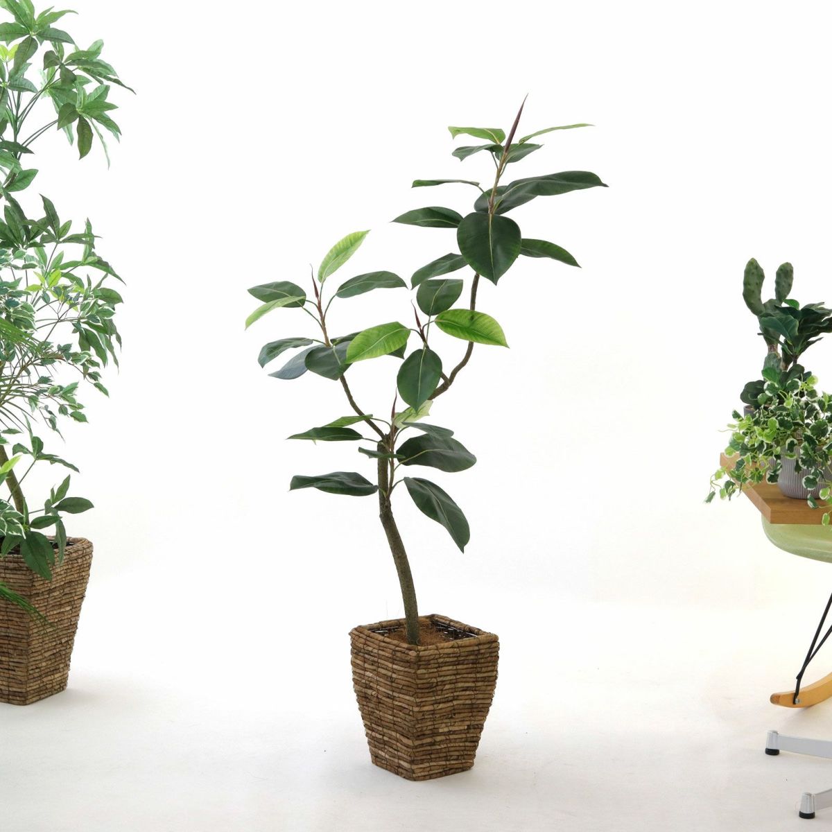 参考 h135cm w80cm d60cm