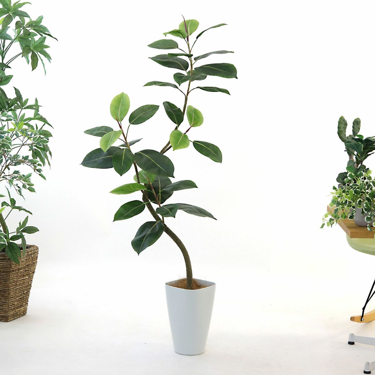 参考 h145cm w60cm d55cm