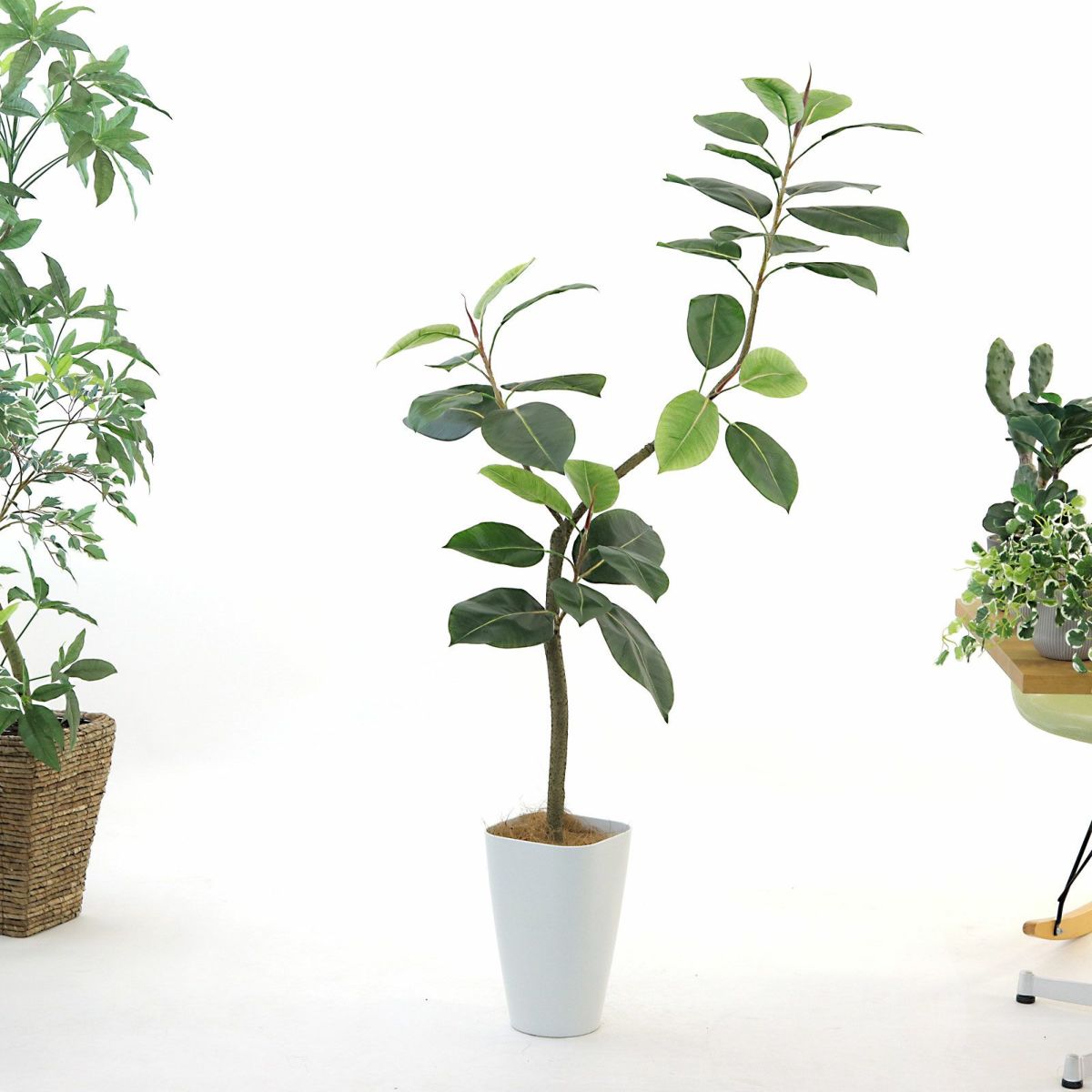 参考 h140cm w77cm d70cm