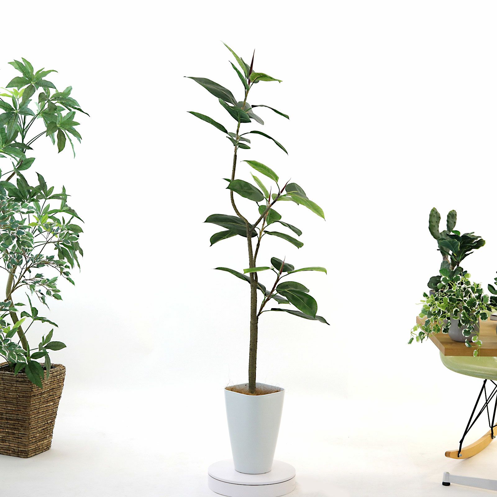 No9422 プレミアム光触媒フェイクグリーン 「凛とした存在感 × 空間に