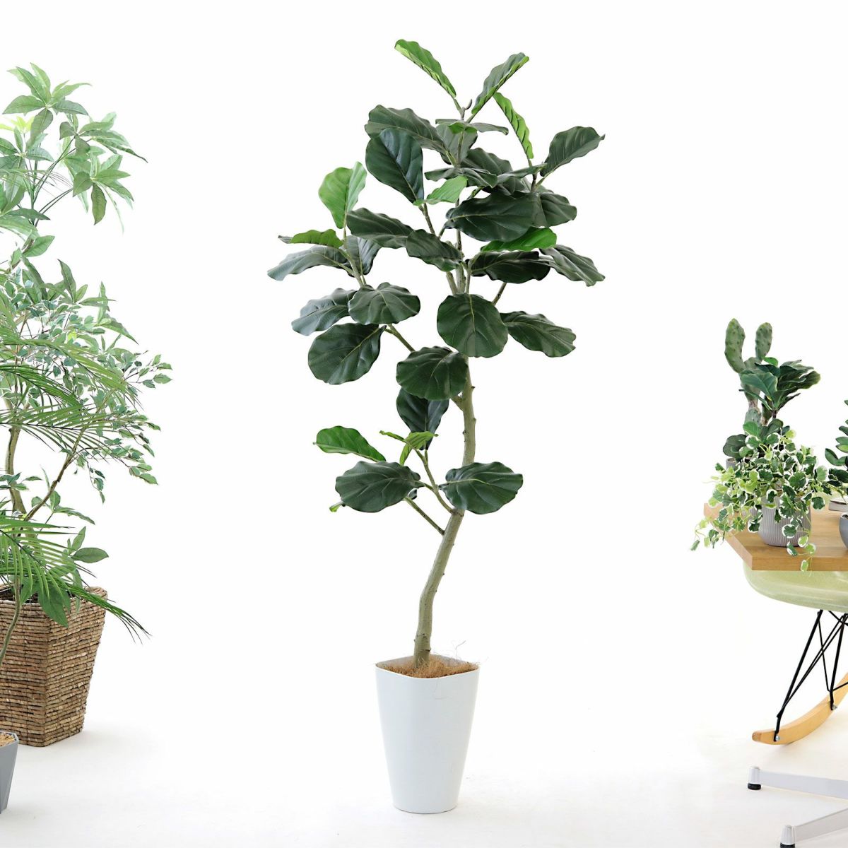 スマートポットCHIC8＋ヤシの繊維（+1500円）