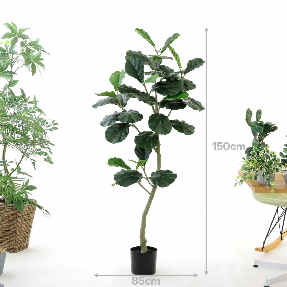 プラ鉢（+0円）