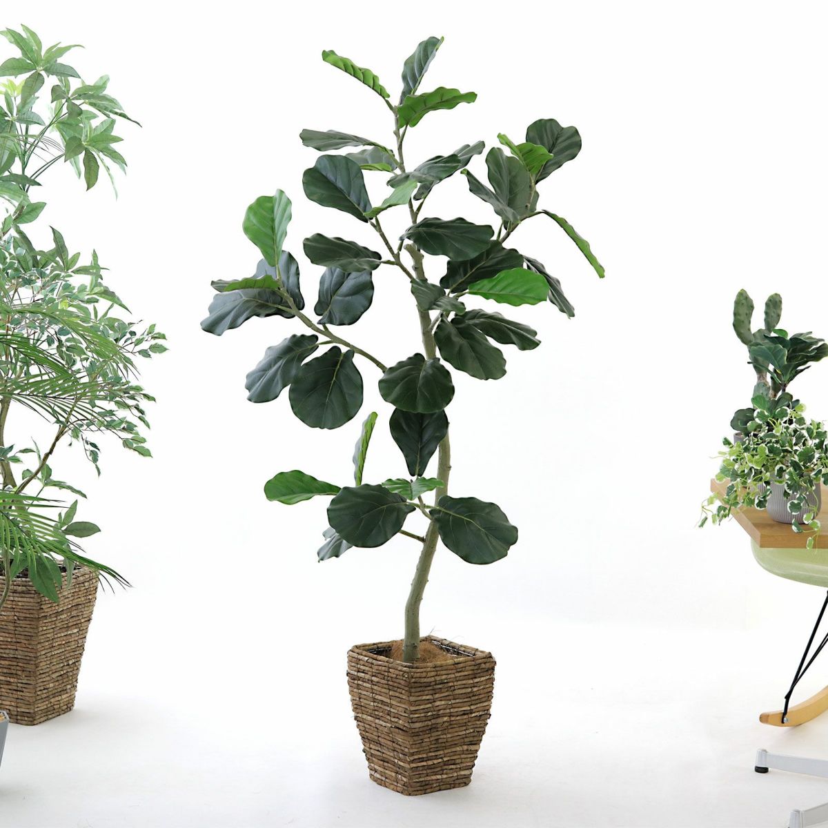 参考 h150cm w90cm d75cm 