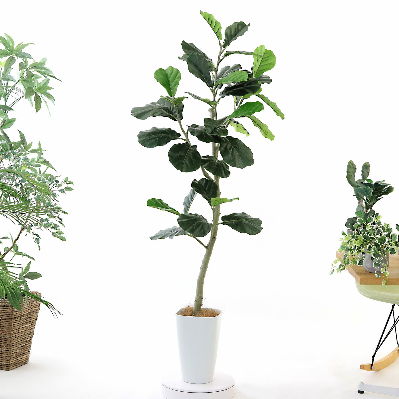 光触媒　人工観葉植物　ウォールグリーン　フェイクグリーン　プレミアムカサブランカ 光触媒 人工観葉植物 ウォールグリーン フェイクグリーン 壁掛け