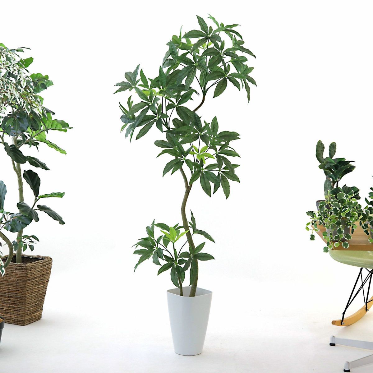 スマートポット CHIC8（+1000円）