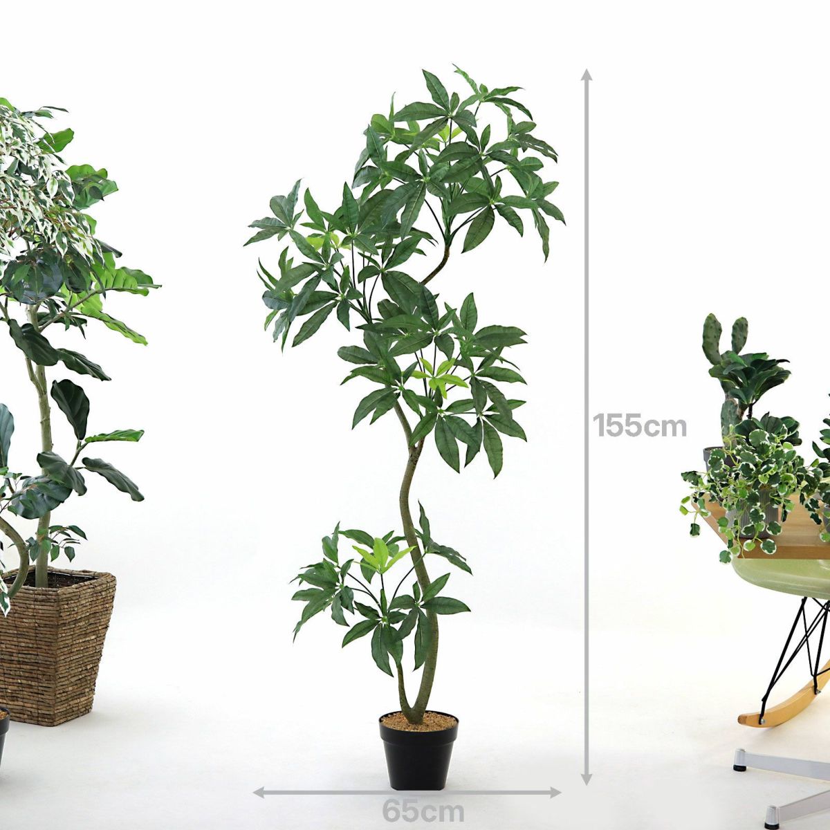 プラ鉢（+0円）