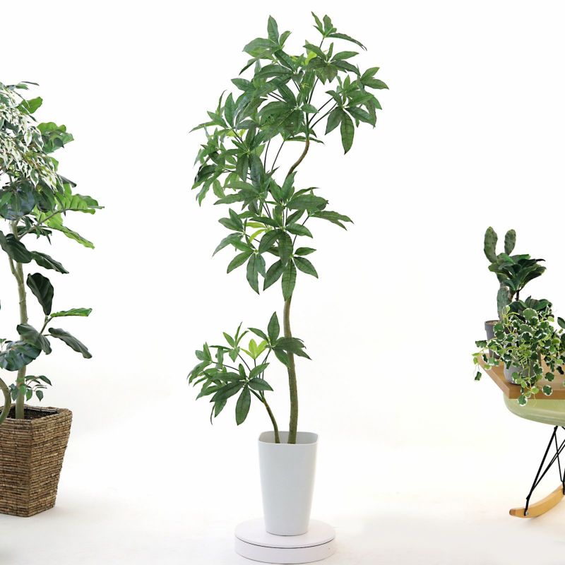 No8455 プレミアム光触媒フェイクグリーン【幹のラインを整えた半完成