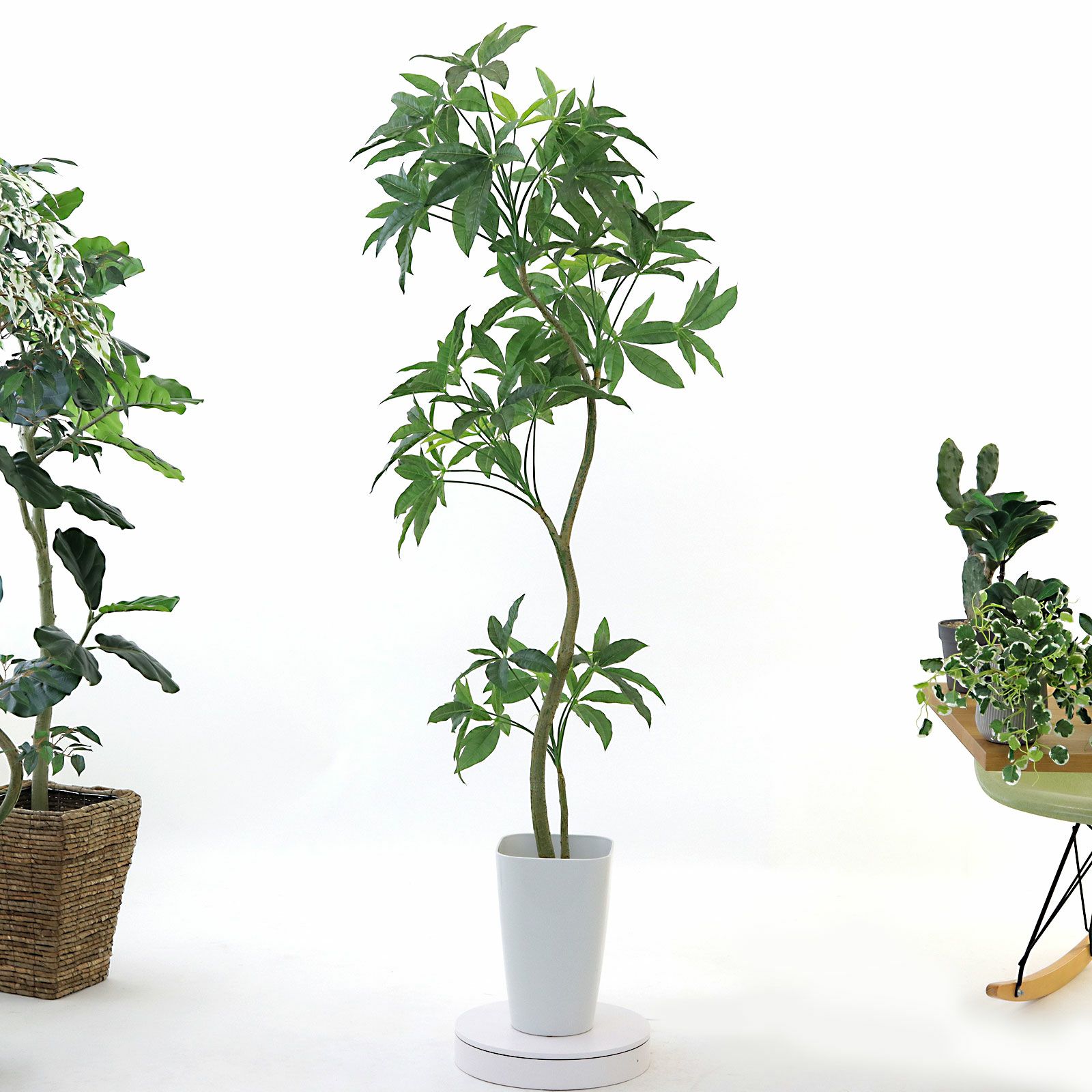 フェイクグリーン 155cm 大型 オリーブ エッグポット 高さ155cm フェイクグリーン 観葉植物 の通販