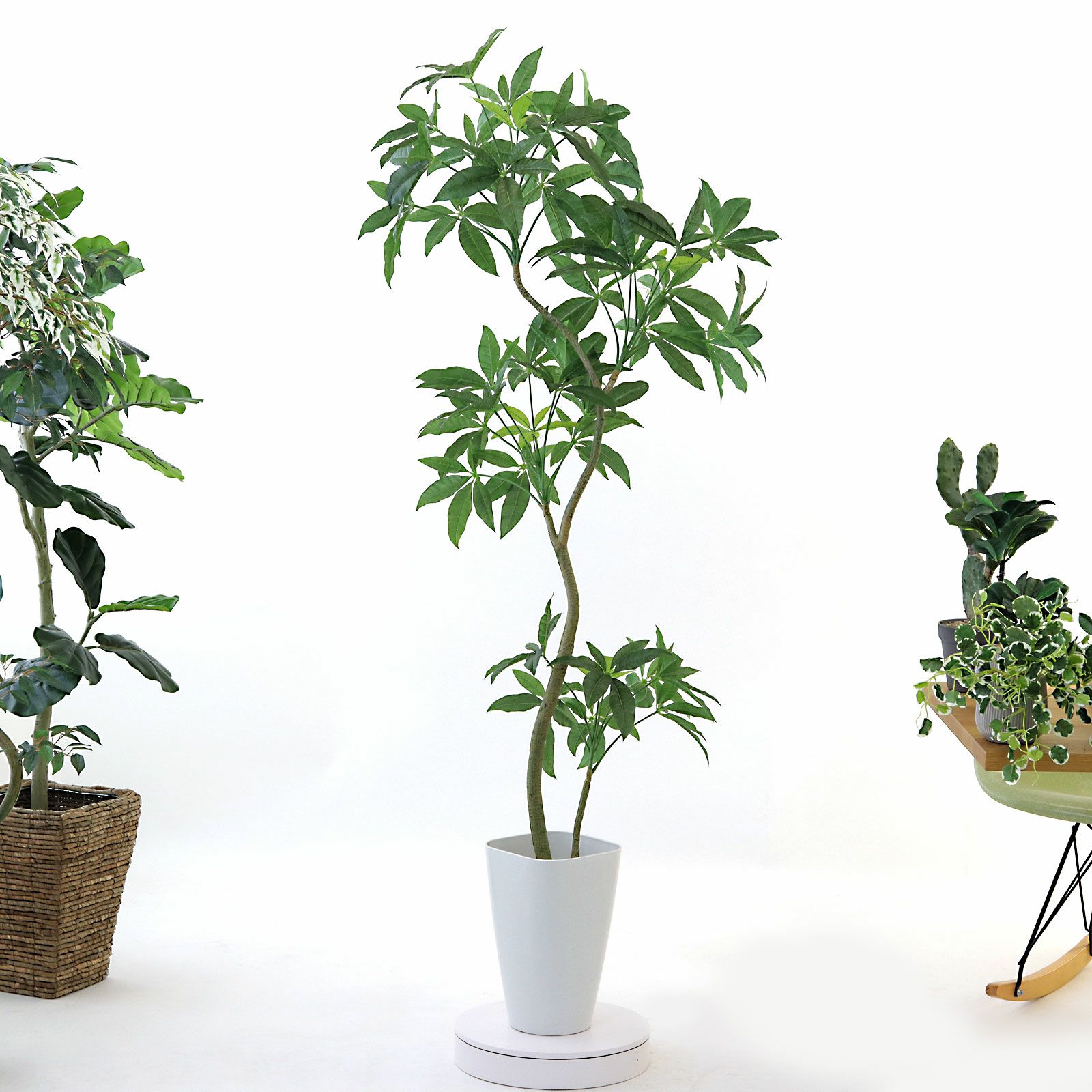 正明の花器です。 模様のあるところにややグリーンが混ざっている色合いです。 No8455 プレミアム光触媒フェイクグリーン【幹のラインを整えた