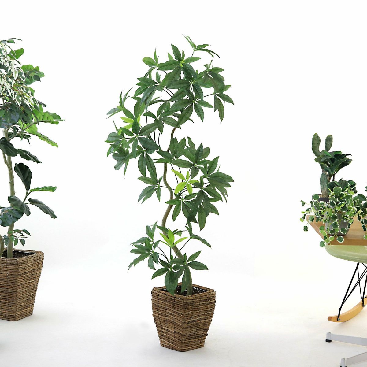 参考 h150cm w55cm d55cm