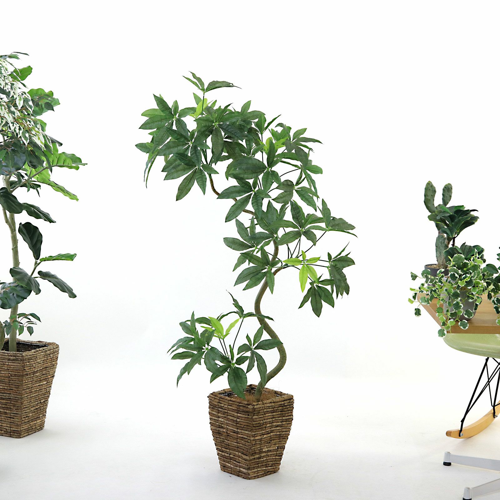 パキラ 2本幹　光触媒　フェイクグリーン観葉植物　大型 光触媒 観葉植物 フェイクグリーン 人工観葉植物 大型