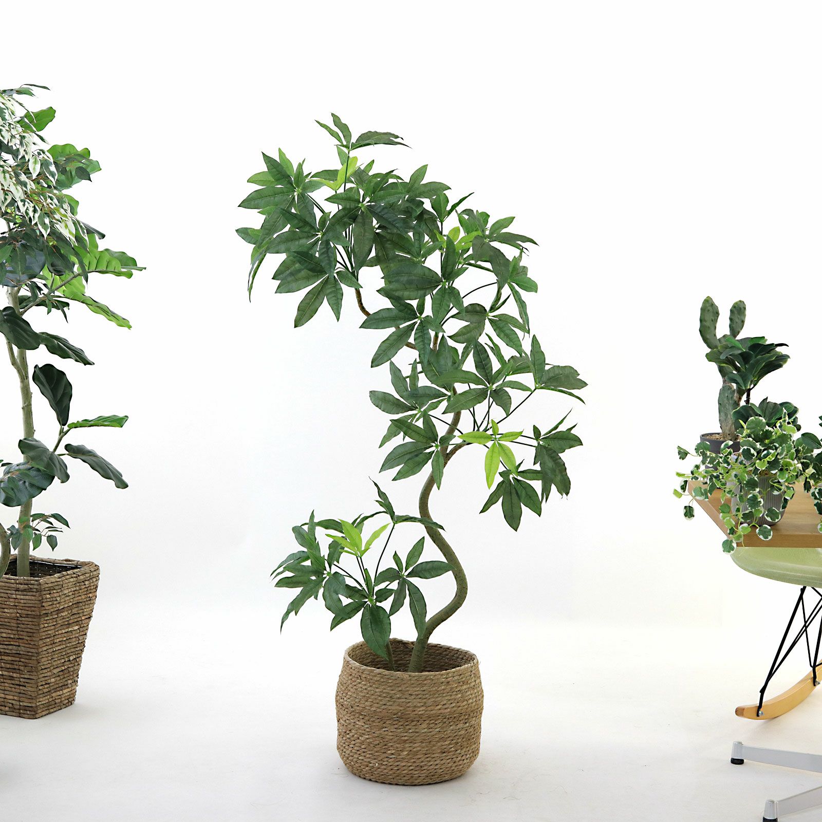 No226　ひろ商品　 簡単移動、植物棚 　whiteモスグリーン　3段 オープンラック 3段 幅61cm プランター ラック ディスプレイ