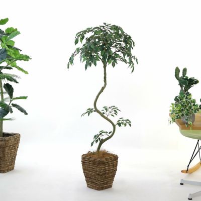 スリムでスタイリッシュ | プレミアム光触媒フェイクグリーン 造花