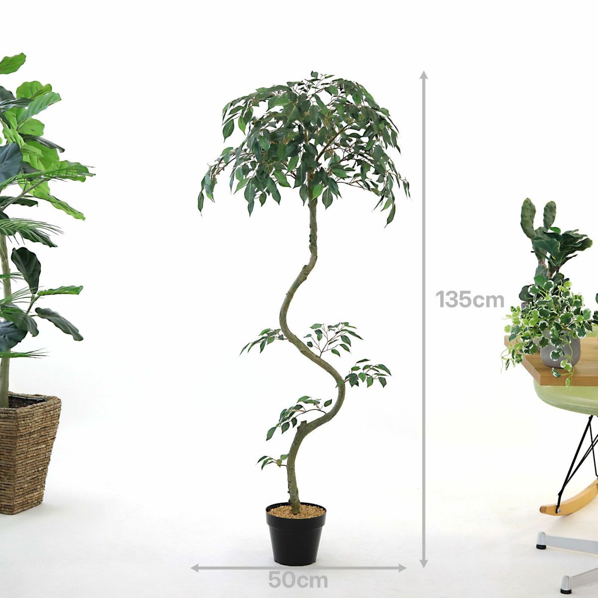 ⑭ プラ鉢（標準）