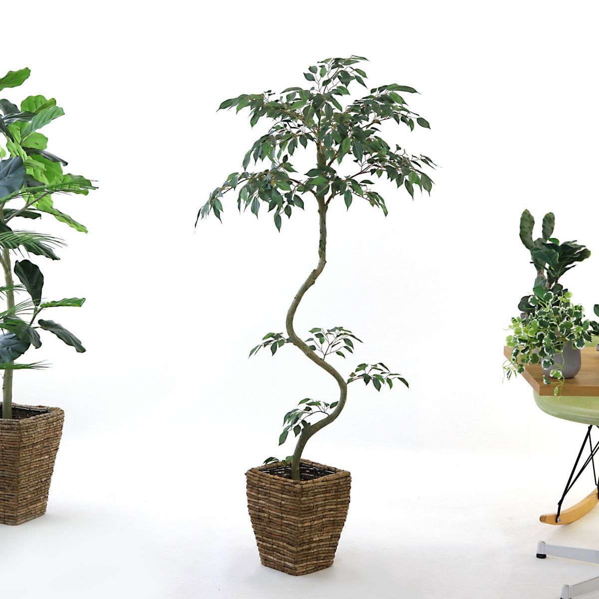 参考 h145cm w65cm d60cm