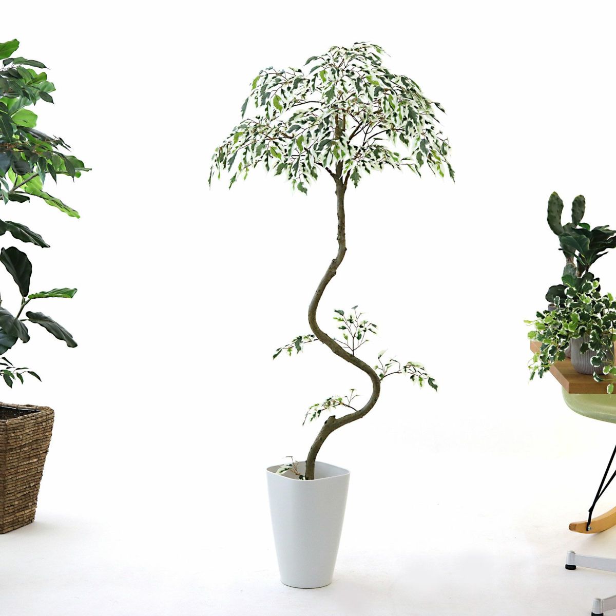 スマートポット CHIC8（+1000円）