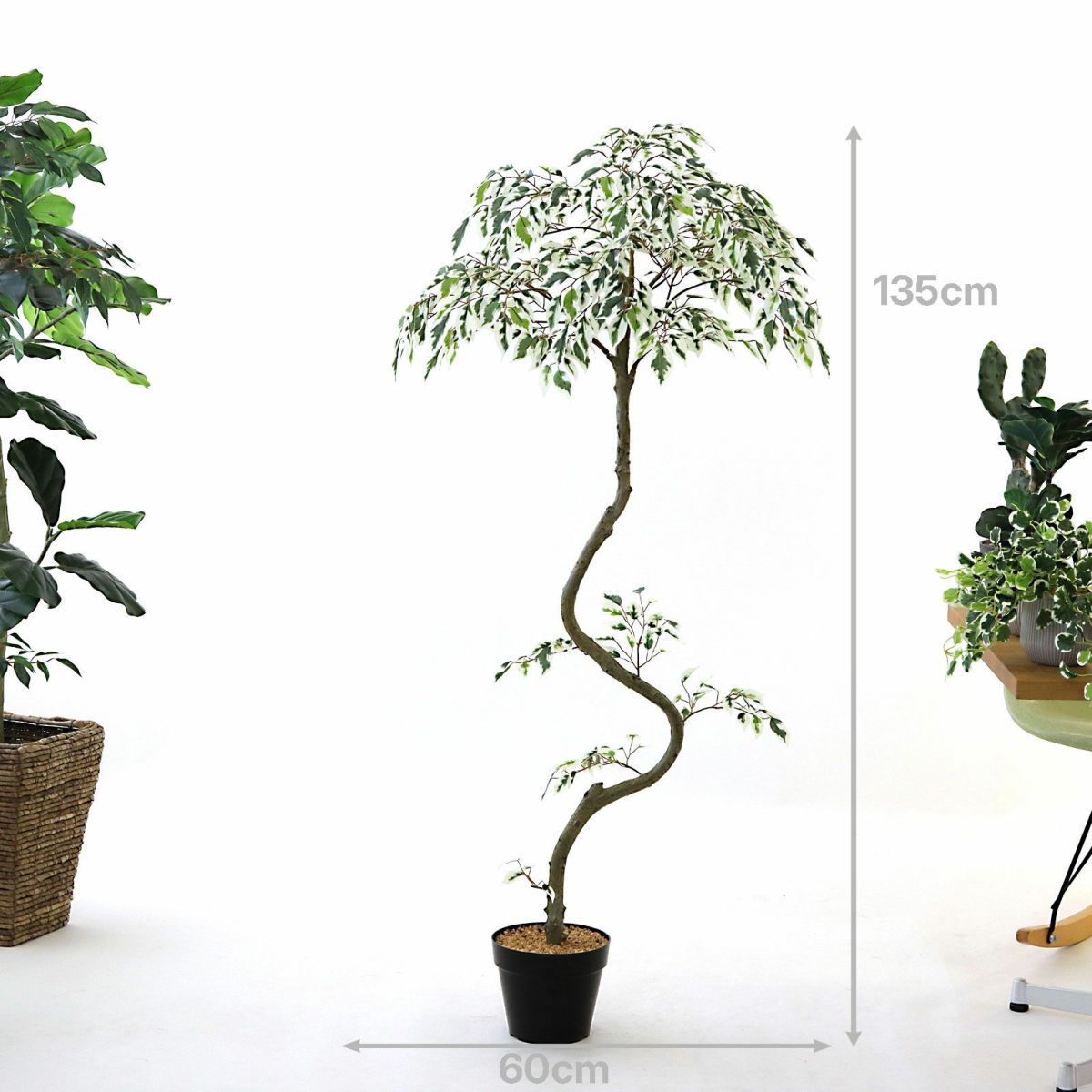 プラ鉢（+0円）