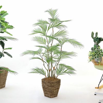 プレミアム光触媒フェイクグリーン 造花ドットコム zouka.com