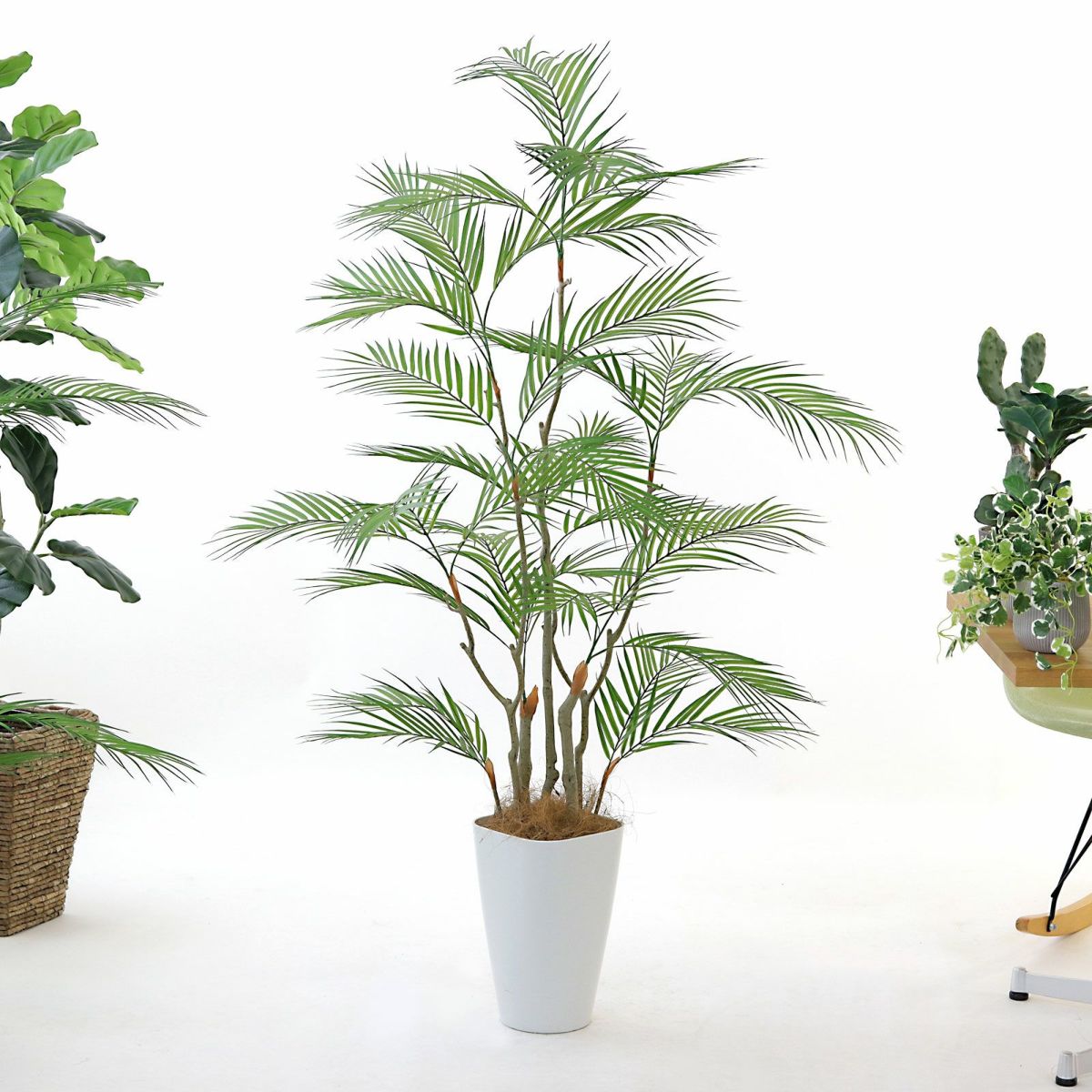 スマートポットCHIC8＋ヤシの繊維（+1500円）