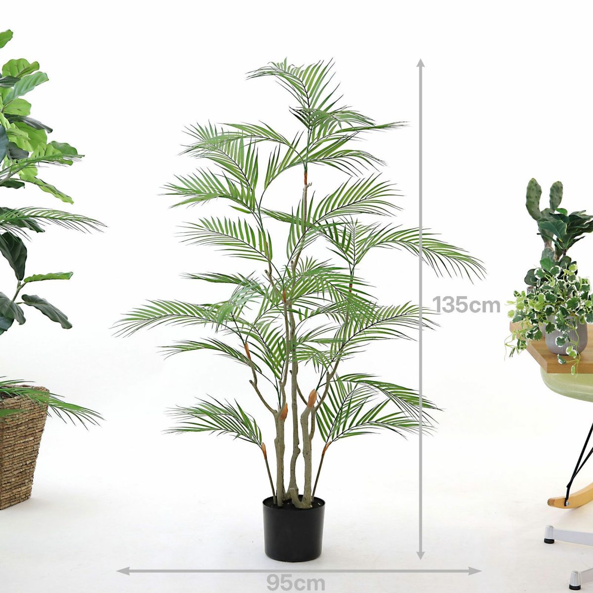 プラ鉢（+0円）