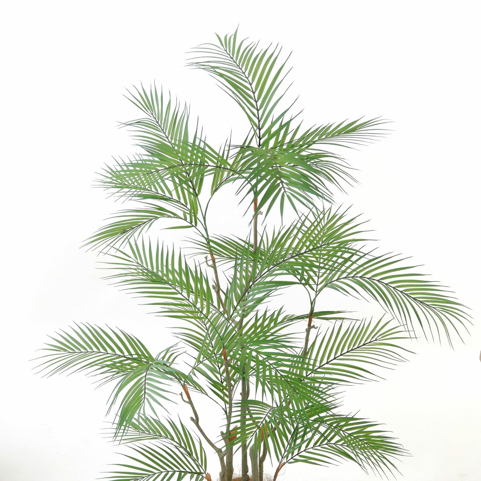 オーダーコメントページ フェイクグリーン 光触媒 光の楽園ユッカ90【インテリア フェイクグリーン 人工