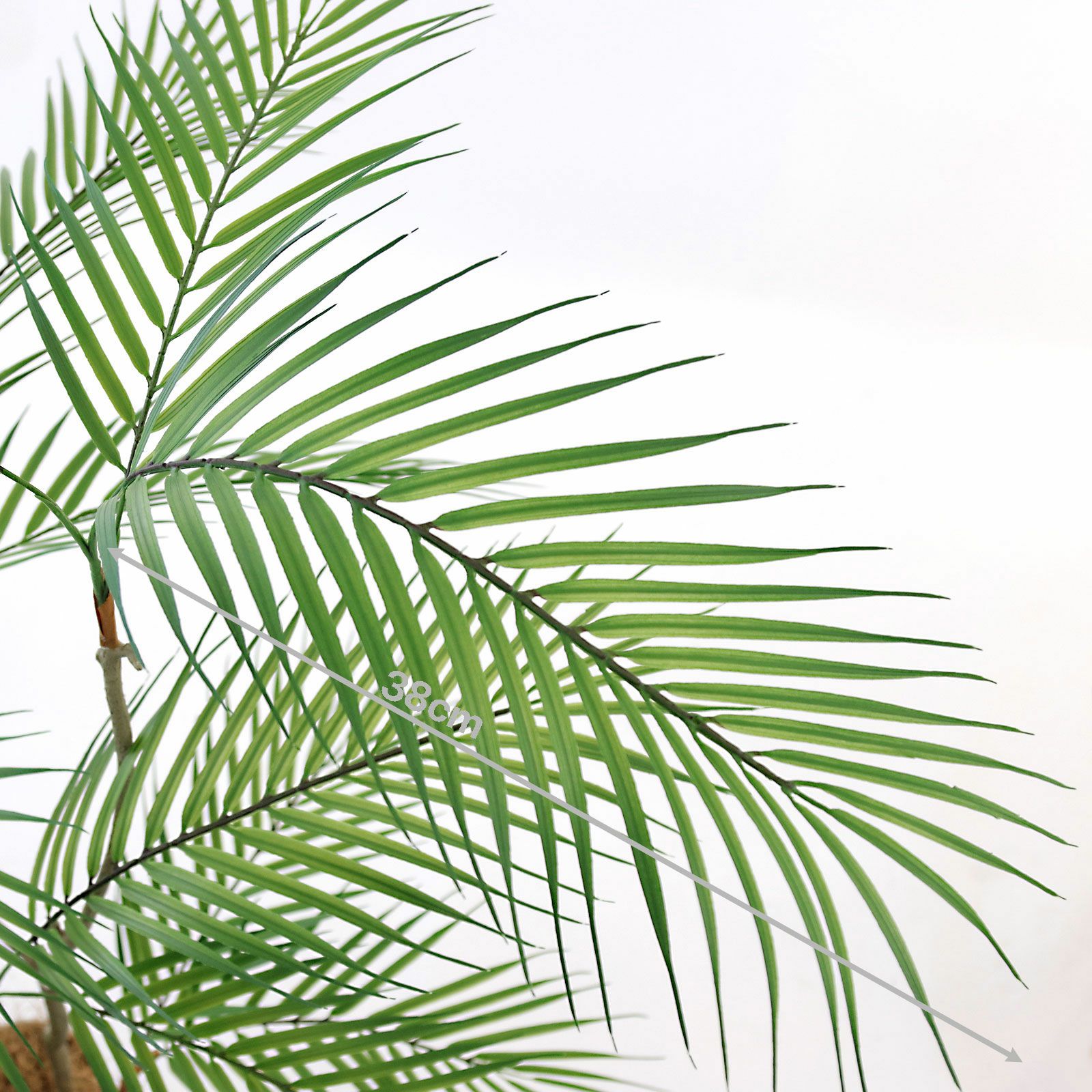 No9399 プレミアム光触媒フェイクグリーン 「風が描いたような