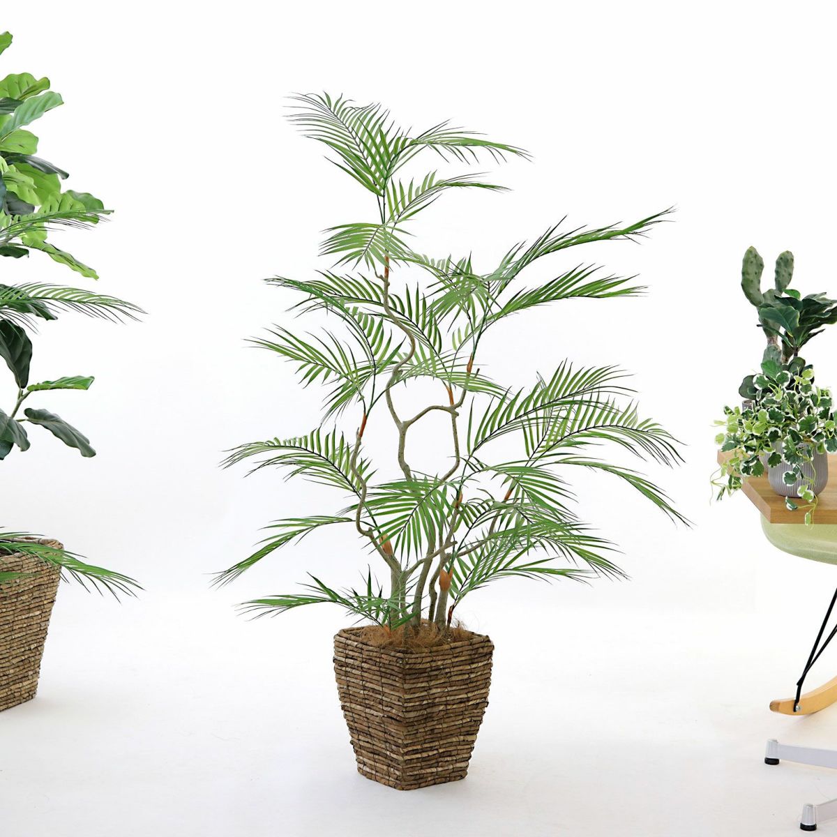 参考 h130cm w120cm d80cm