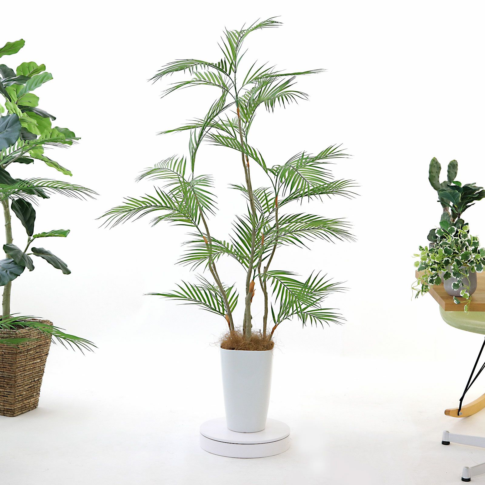 No9399 プレミアム光触媒フェイクグリーン 「風が描いたような