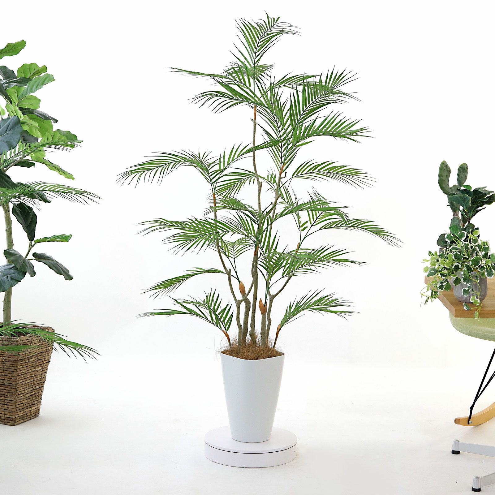 人工観葉植物 約170cm ヤシ Funderful 人工観葉植物 光触媒 ヤシ 165cm : パーティワールド