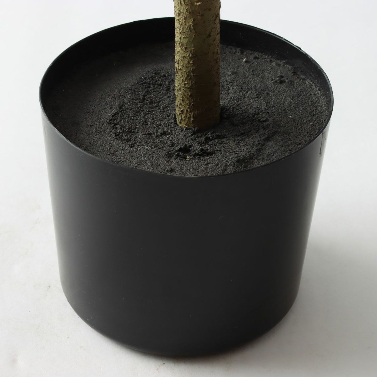  プラ鉢（+0円）