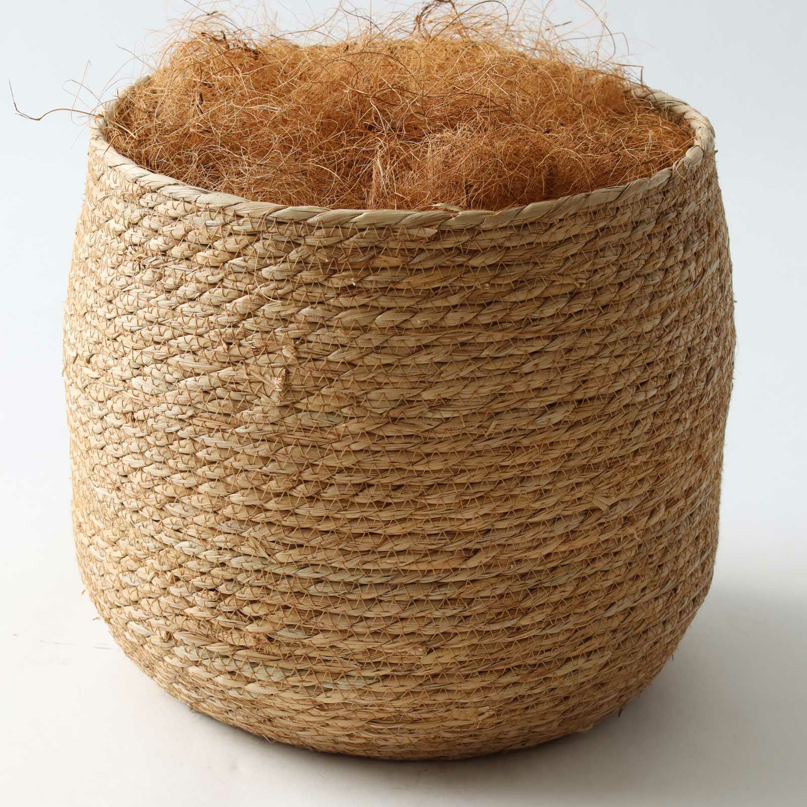 プラ鉢＋ヤシの繊維（+500円）