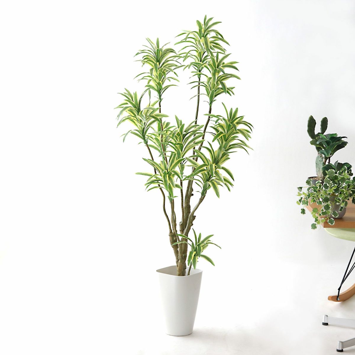 ⑫ スマートポット（CHIC8）