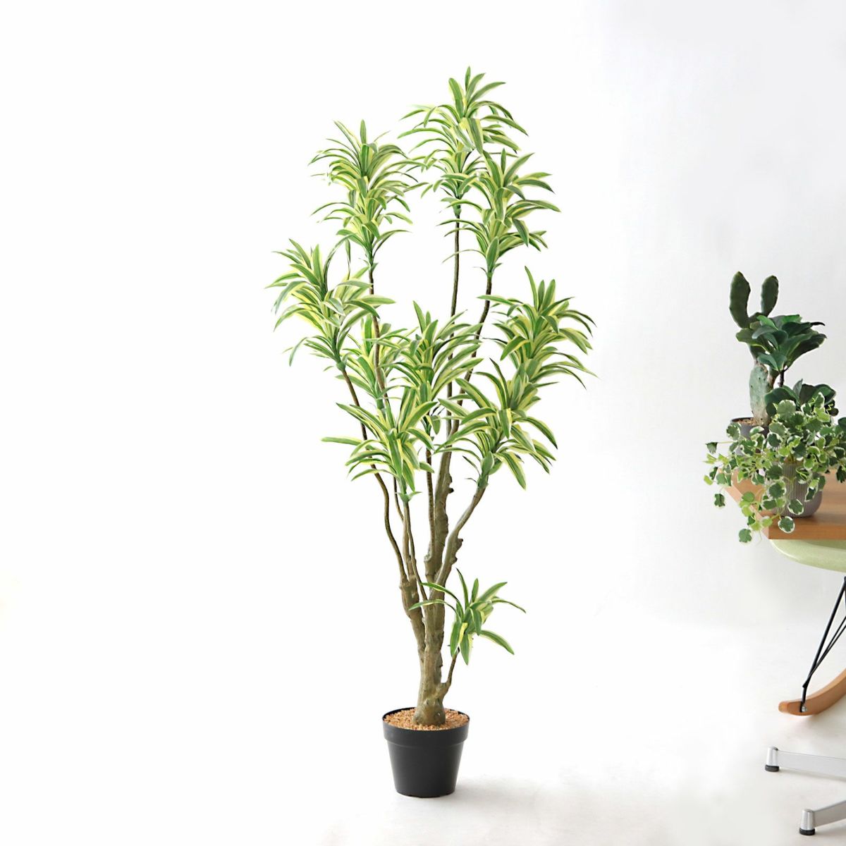 ⑭ プラ鉢（標準）