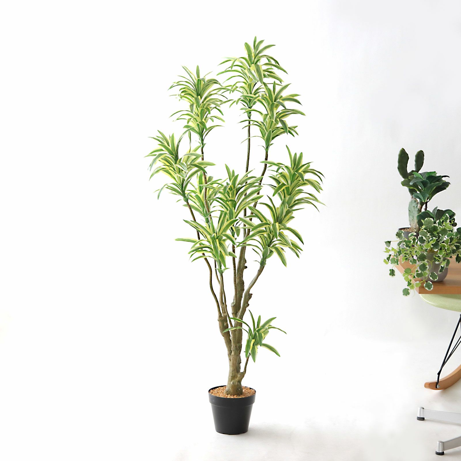 光触媒　人工観葉植物　フェイクグリーン　ソング・オブ・インディア FST 150 光触媒人工観葉植物フェイクグリーンソング・オブ・インディア