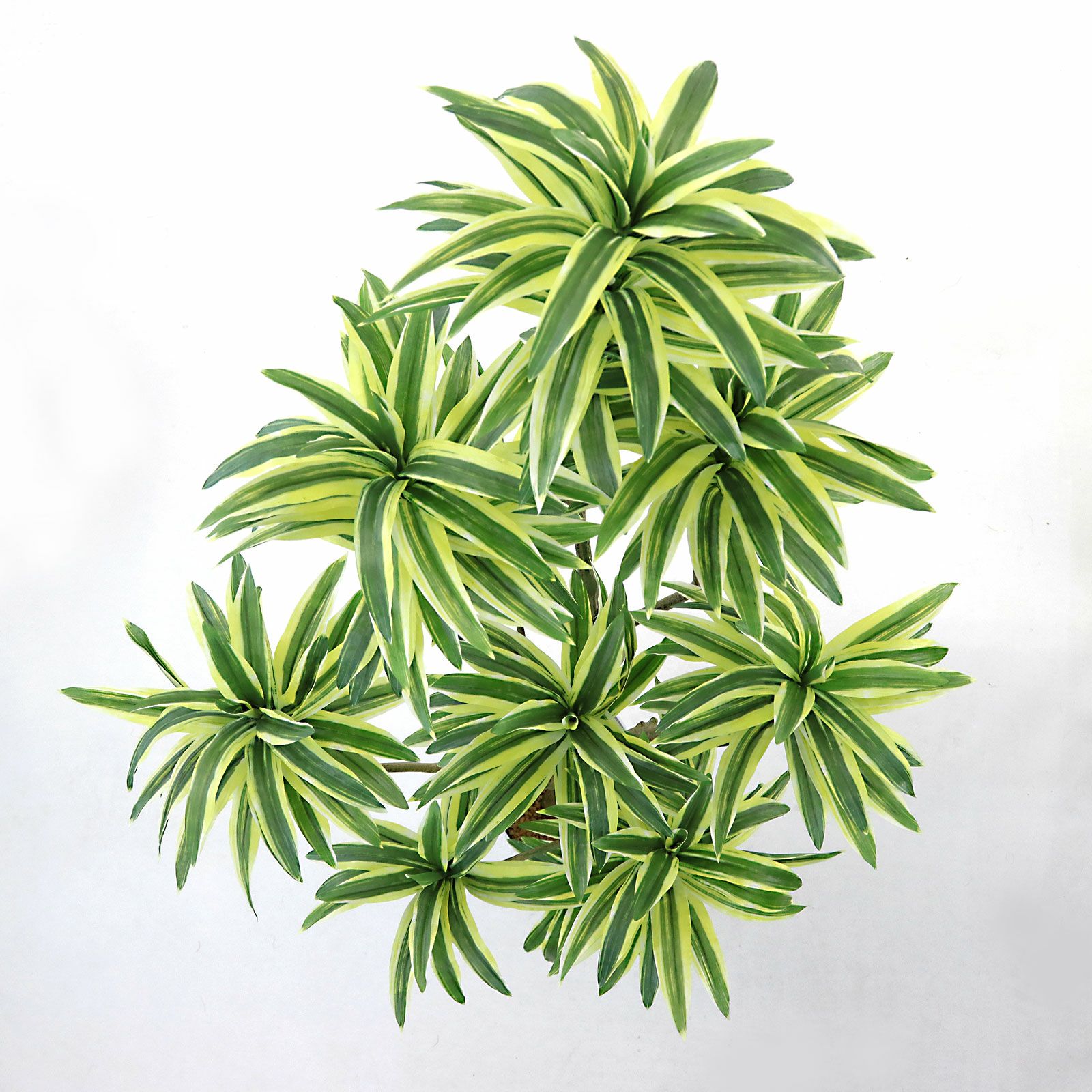 No8450 プレミアム光触媒フェイクグリーン 「狭い空間にも映える