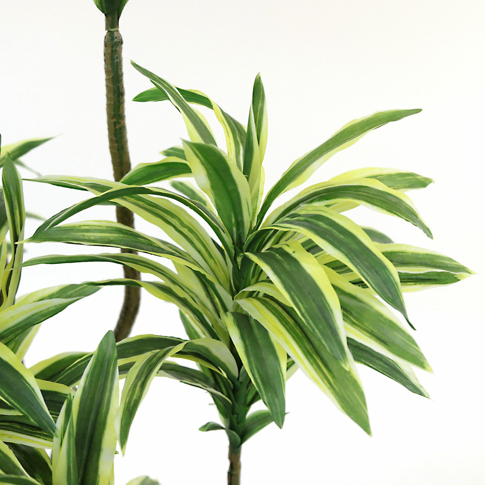 No8450 プレミアム光触媒フェイクグリーン 「狭い空間にも映える