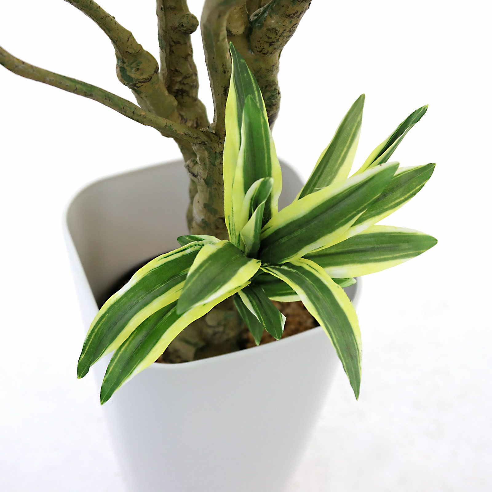 No8450 プレミアム光触媒フェイクグリーン 「狭い空間にも映える