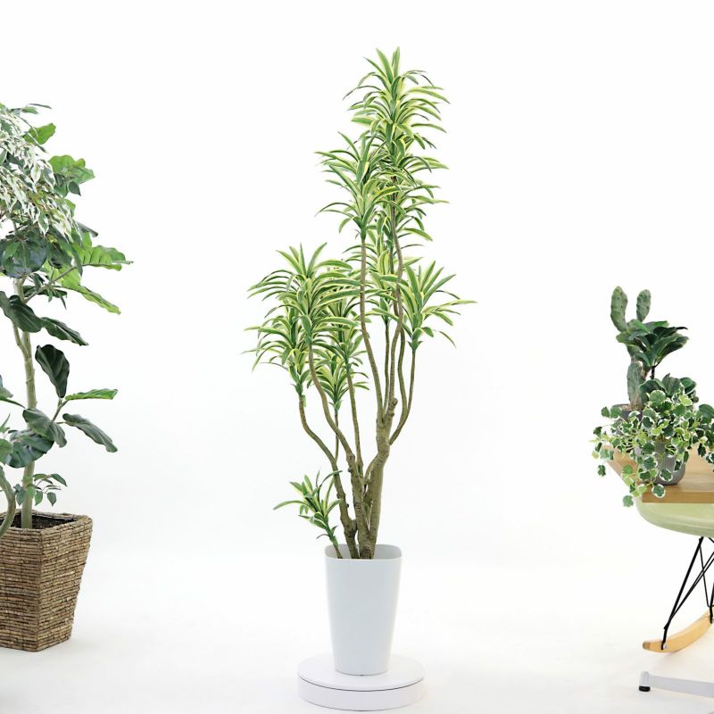 No8450 プレミアム光触媒フェイクグリーン 「狭い空間にも映える