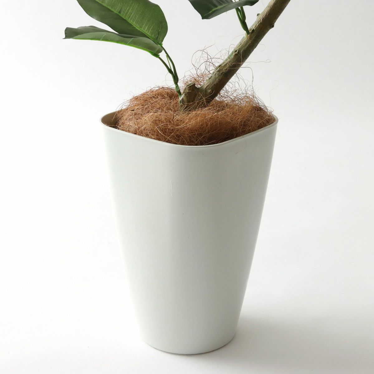 スマートポットCHIC8＋ヤシの繊維（+1500円）