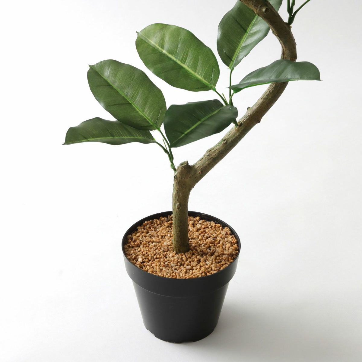 プラ鉢（+0円）