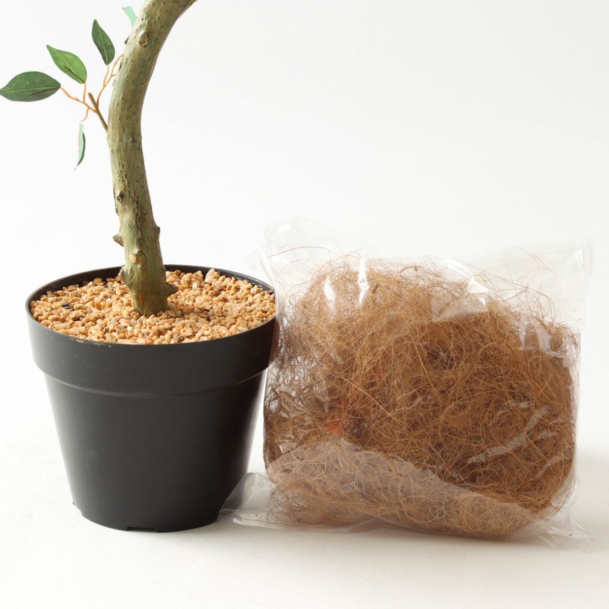 プラ鉢＋ヤシの繊維（+500円）