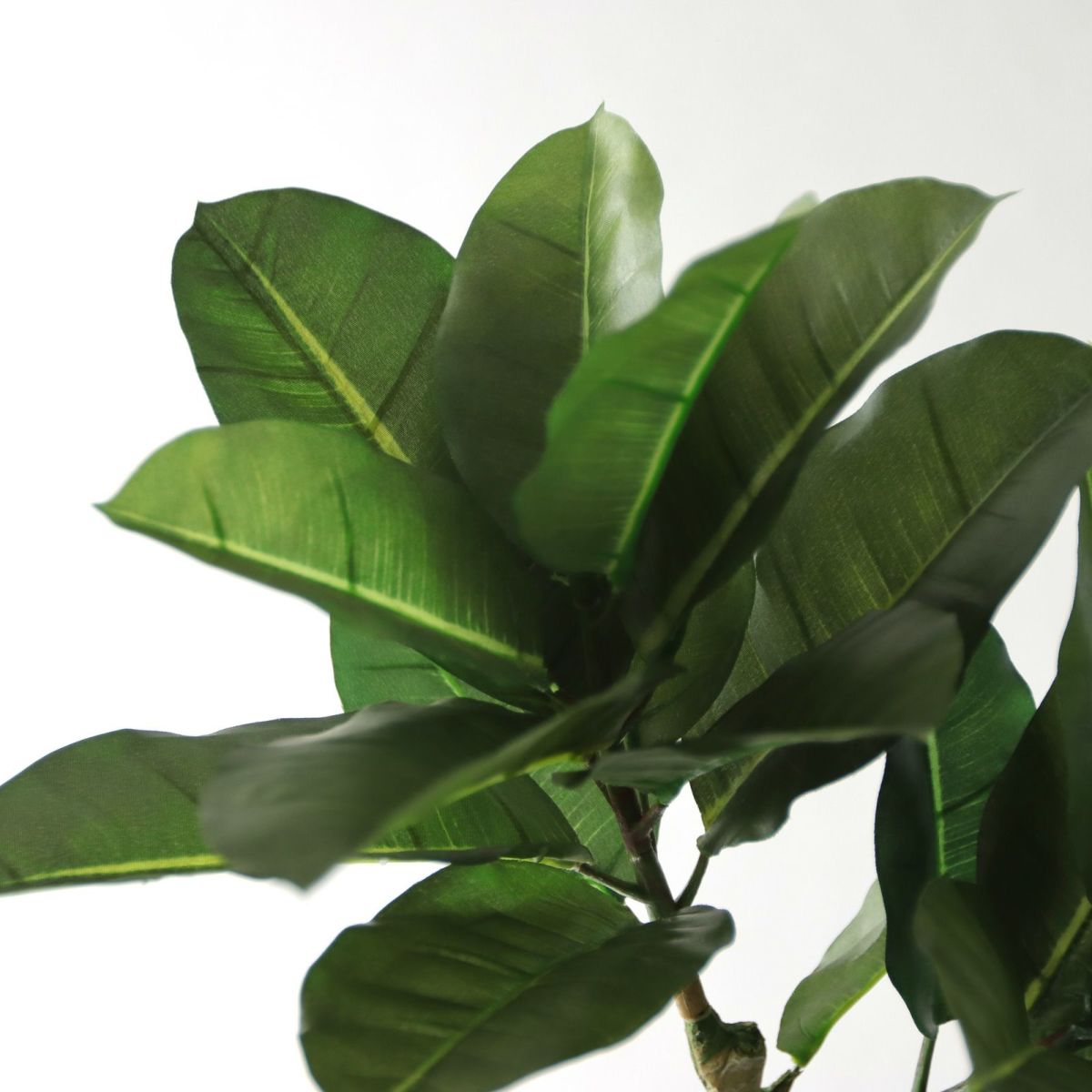 上部の枝には鉄芯が入っていないので、上向きになります。