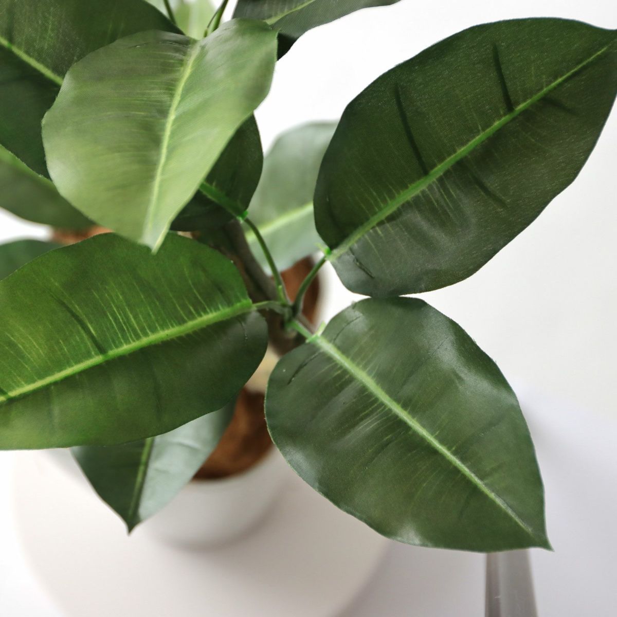 下部の枝には鉄芯が入っているので、好みで広げて！