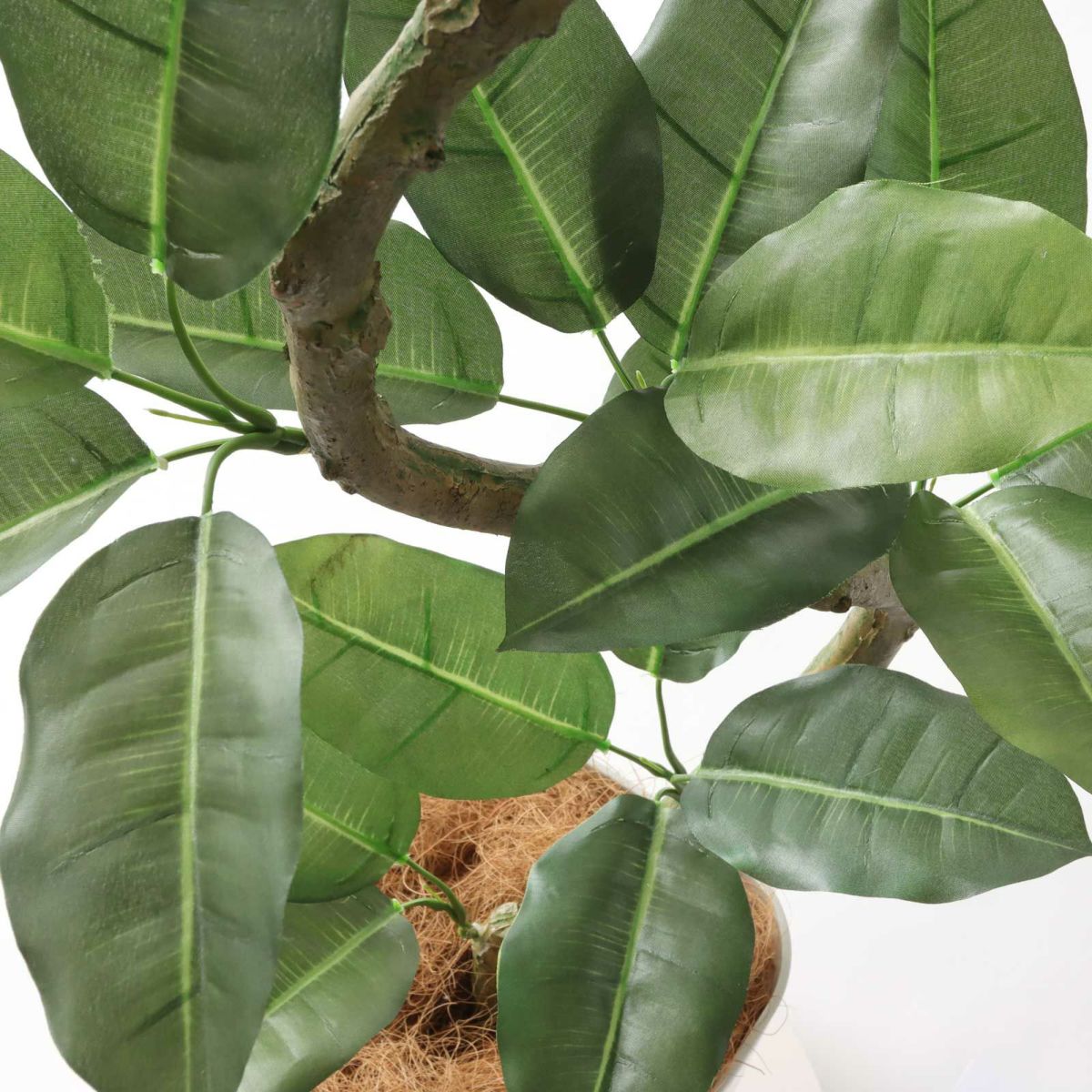 下部の枝には鉄芯が入っているので、好みで広げて！