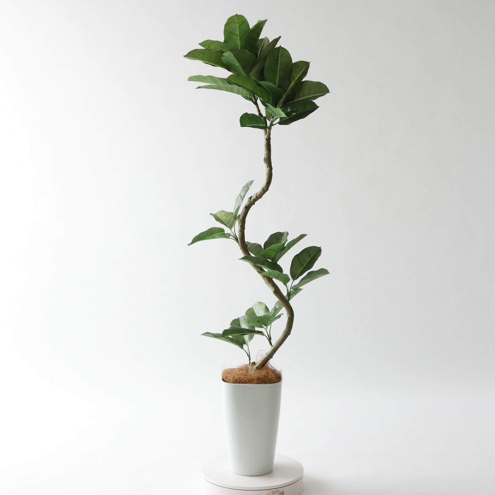 No8456 プレミアム光触媒フェイクグリーン【幹のラインを整えた半完成