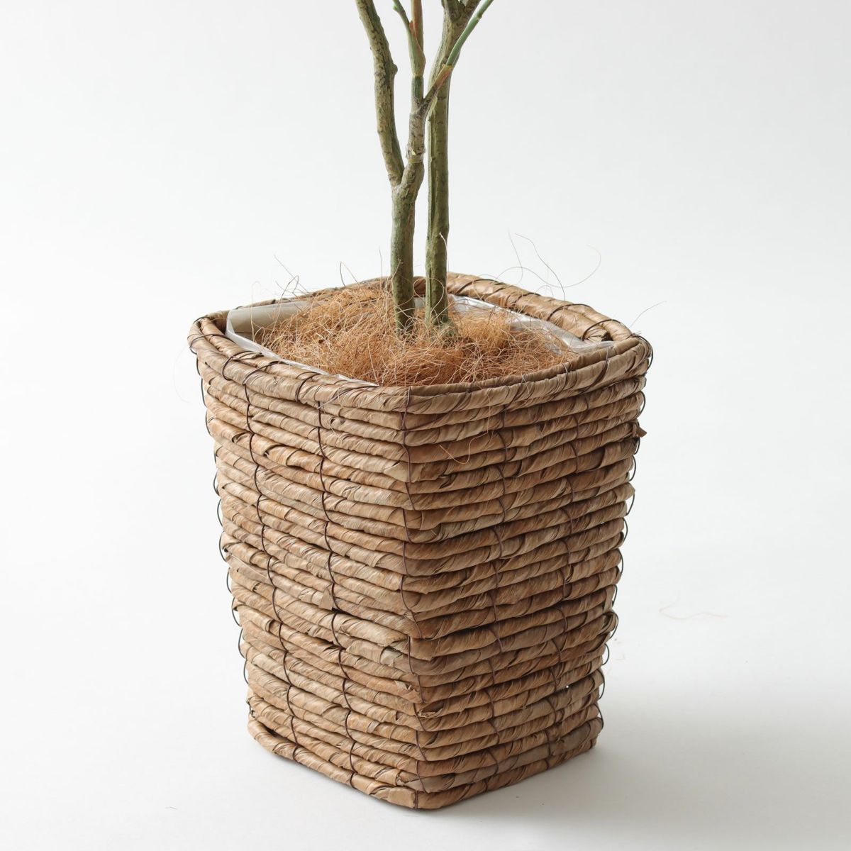 バナナリーフバスケットミニ KG77＋ヤシの繊維 （+2000円）