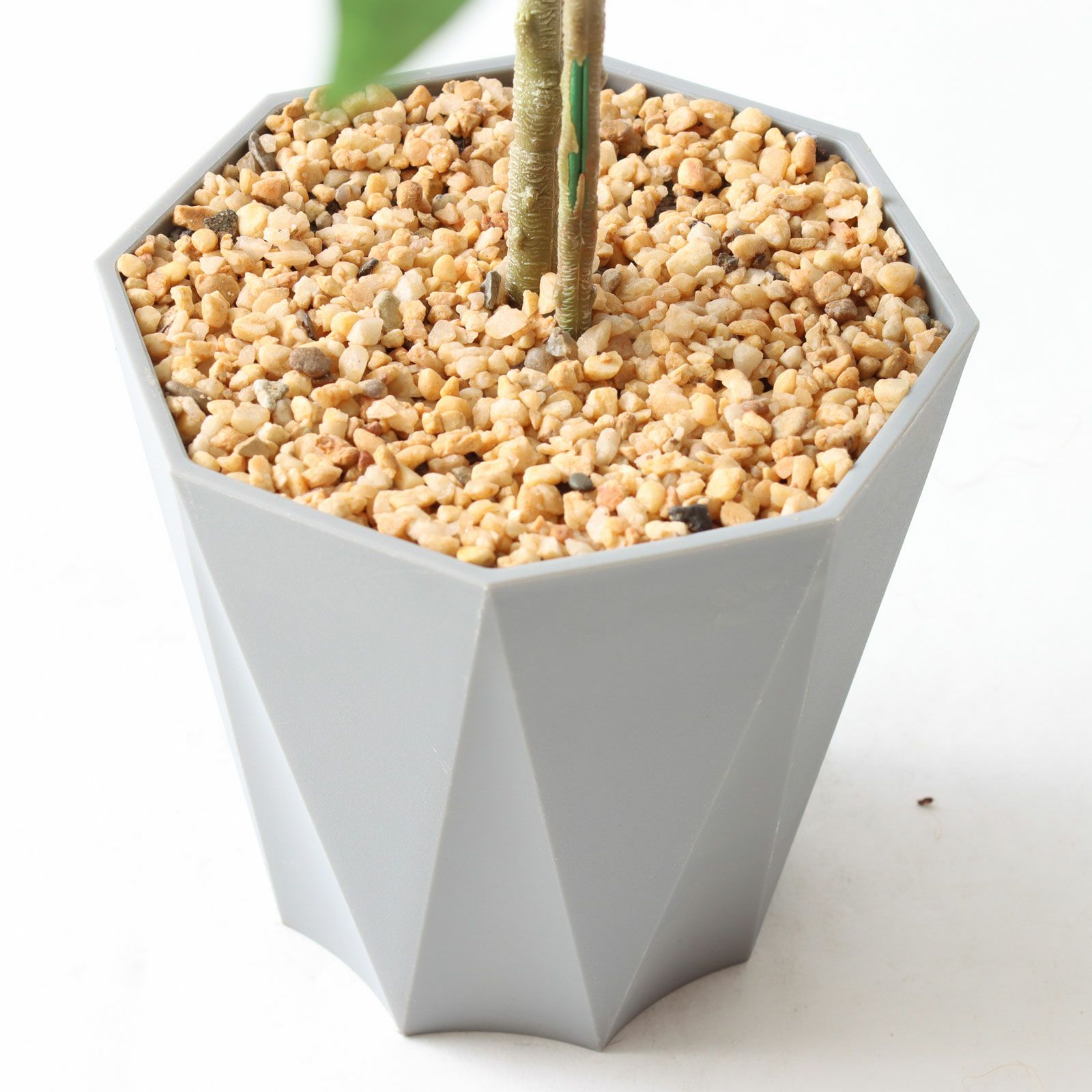 Formaポット（+0円）