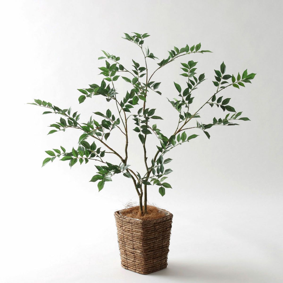 参考 h88cm w90cm d73cm