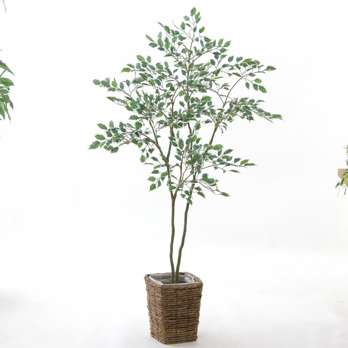 バナナリーフバスケットミニ KG77（+1500円）