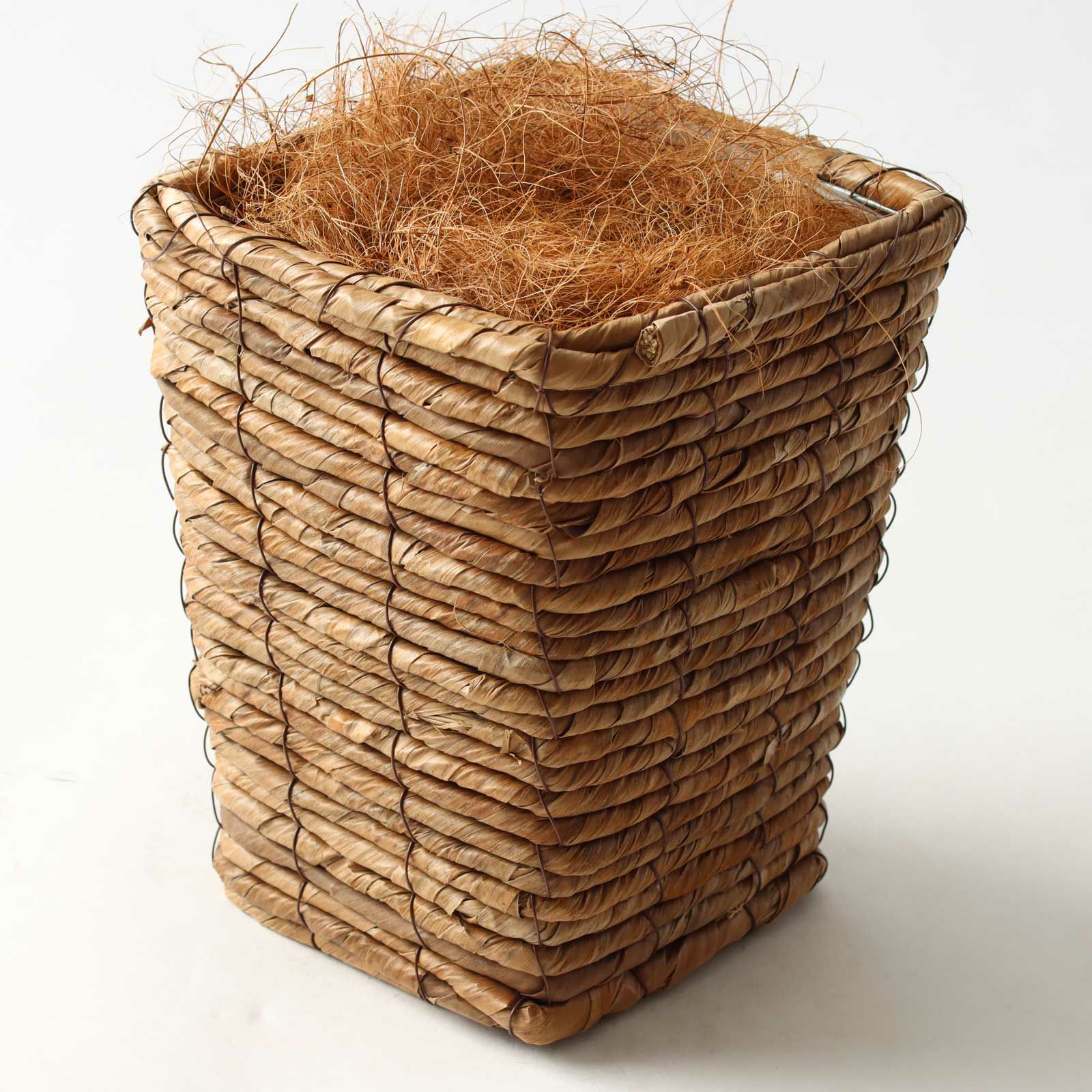 Formaポット（+0円）